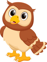 Cartoon cute owl isolated on white background