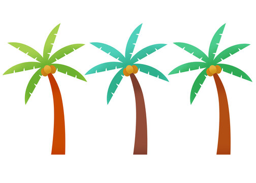 Three tones of three coconut palm trees from tropical island.