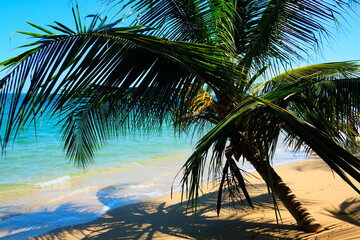 Fototapeta na wymiar costa rica_beach