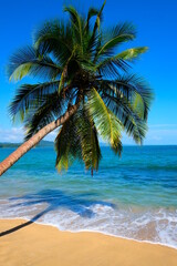 Obraz na płótnie Canvas costa rica_beach