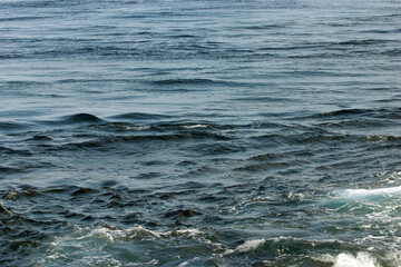 Blue gray ocean surface and Black current photograph. 太平洋上で激しくぶつかり合う親潮（本流）と分流（支流）。