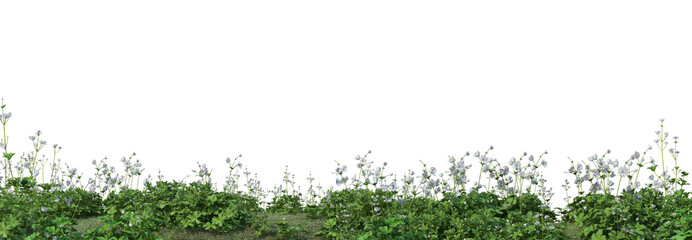 Fototapeta na wymiar 3d render grass and shrub with white background