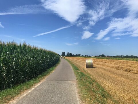Hay bales in the field - Morimondo - Italy