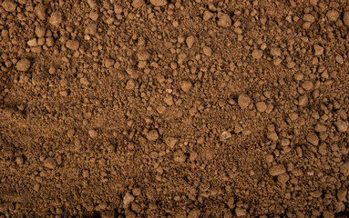 Fertile soil texture background from top view. Gardening and planting concept with copy space