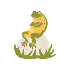 Funny frog sits on a stone with its paws folded on its chest. Funny green amphibian. Colorful vector isolated illustration hand drawn