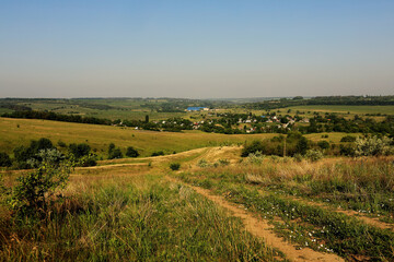 Fototapeta na wymiar fields and meadows of Ukraine