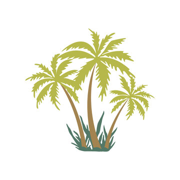 Three palm trees on the island. Green bushes around. Hot summer season, tropics. Time for rest and relaxation. Colorful vector isolated illustration hand drawn print or poster