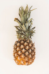 detailed photo of isolated vertical pineapple