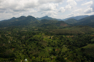 Tea plantations and agricultural land among mountains and hills with jungle. Sri Lanka.