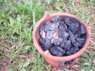 blueberries in a hand