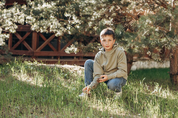 Naklejka na ściany i meble Portrait of child collecting and holding pine cones in forest. Teenager boy enjoying nature walking in park in summer day. Concept of local travel
