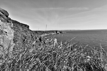 misty morning on the lake