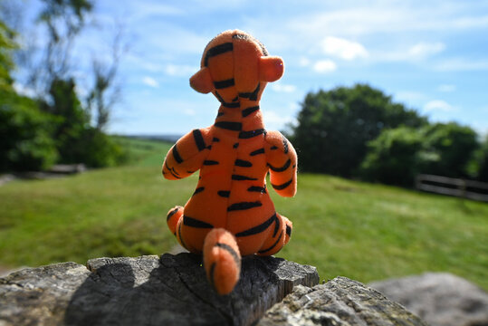 Tigger 