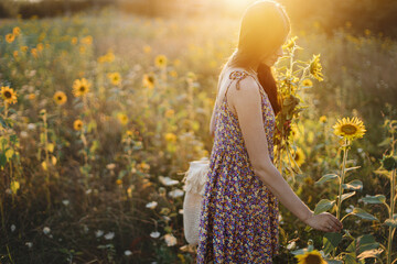 Beautiful woman gathering sunflowers in warm sunset light in summer meadow. Tranquil atmospheric...