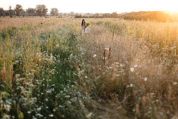 Beautiful woman gathering sunflowers in warm sunset light in summer meadow. Stylish young female picking sunflowers in evening field. Tranquil atmospheric moment in countryside