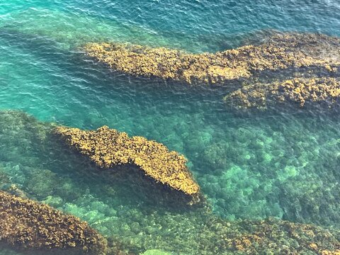 Turquoise sea and coastal rocks covered with algae.