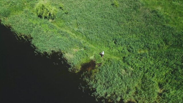 A fisherman on the shore of the lake catches fish on a spinning rod. Aerial photography..