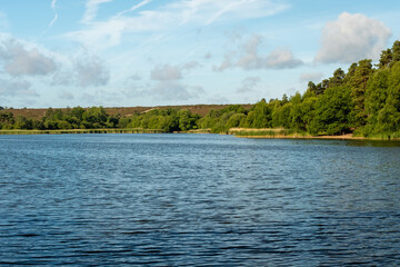 Frensham Little pond, Farnham, Surrey, UK