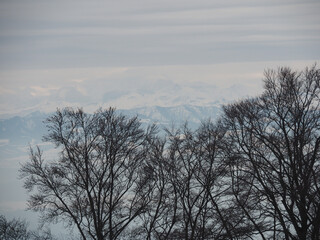 Obraz premium beautiful snow covered mountain in Switzerland