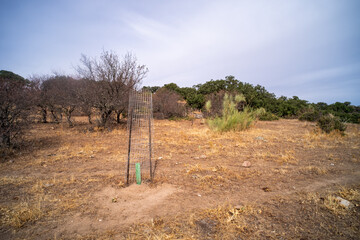 Tree Plant cover protect with steel Tree guard fencing net
