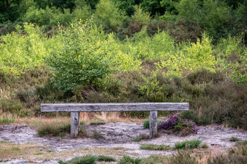 Benchs at Frensham little pond, Farnham, Surrey