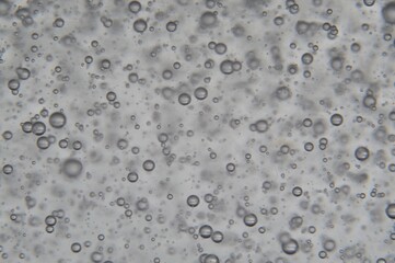 air bubbles in a transparent liquid close-up. micro