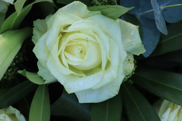 White bridal flowers