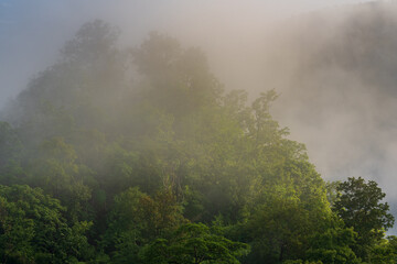 Scenic landscape view of tropical forest on hill with early morning fog, in Chiang Dao rural countryside, Chiang Mai, Thailand