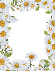 Summer frame of wildflowers, daisies. Floral watercolor background for invitation or greeting card, poster, nature banner, rectangular border.