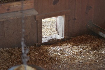 Entry hole to the chicken coop 