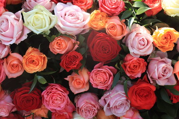 Obraz na płótnie Canvas Colorful wedding roses