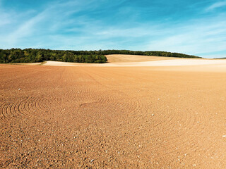 Naklejka premium Champs de l'Yonne