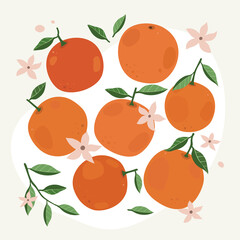 Set of oranges. Vector illustration for poster, greeting card, fabric