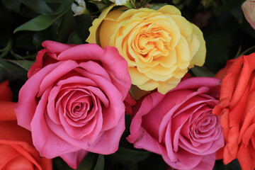 Rose bouquet in bright colors