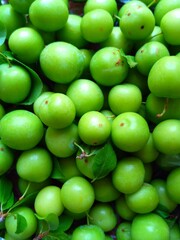 green plum on the market