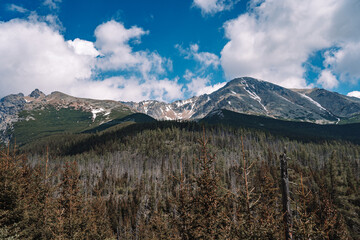 View of High Tatras mountain range near Velické pleso. 