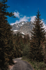 View of High Tatras mountain range near Velické pleso. 