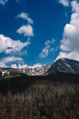 View of High Tatras mountain range near Velické pleso. 