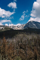 View of High Tatras mountain range near Velické pleso. 