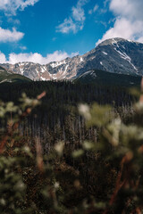 View of High Tatras mountain range near Velické pleso. 