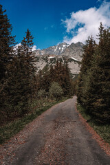 View of High Tatras mountain range near Velické pleso. 