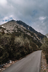 View of High Tatras mountain range near Velické pleso. 