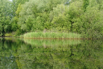Fototapeta premium Lake views in Milton Country Park, Cambridge, June 2022