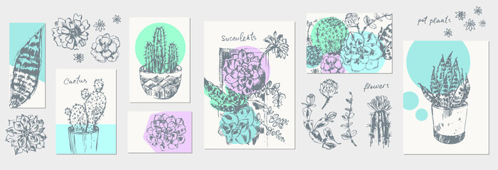 Hand drawn sketch of pot flowers succulent plants, cactus, floral arrangements
