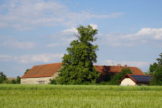 Polish field, polish village, poland, lower silesia, june 2022