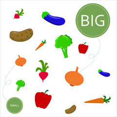 Match the vegetables by size big or small. Children's educational game.