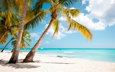 Fototapeta na wymiar Vacation summer holidays background wallpaper - sunny tropical Caribbean paradise beach with white sand in Seychelles Praslin island Thailand style with palms