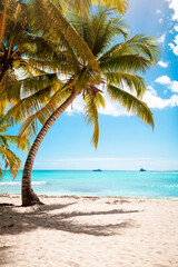 Fototapeta na wymiar Vacation summer holidays background wallpaper - sunny tropical Caribbean paradise beach with white sand in Seychelles Praslin island Thailand style with palms