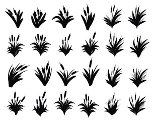 Set of Cattails Vector Silhouettes