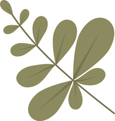 Tropical leaves clipart design illustration